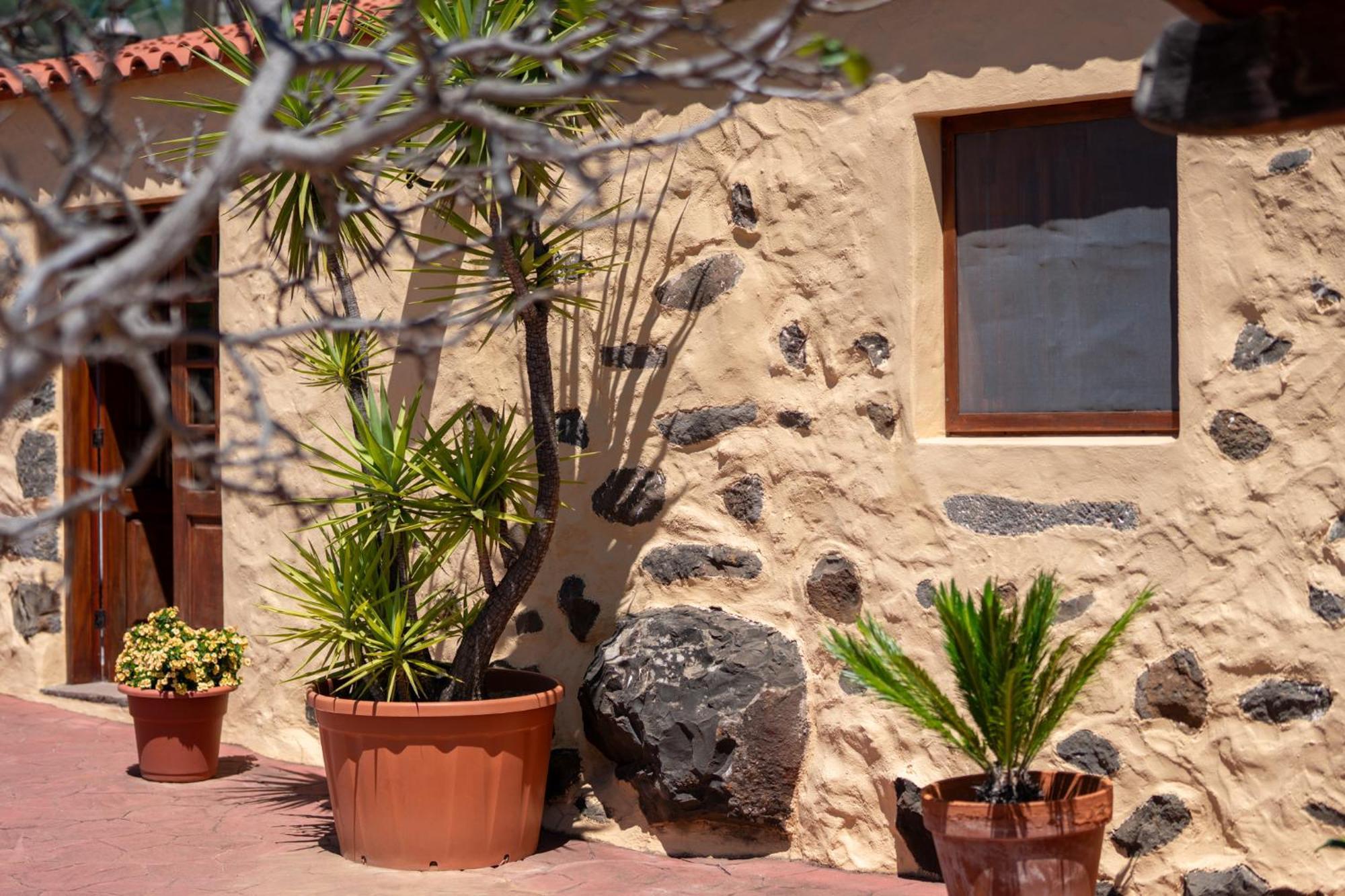 Casa Rural Tinamar Vega de San Mateo Zewnętrze zdjęcie